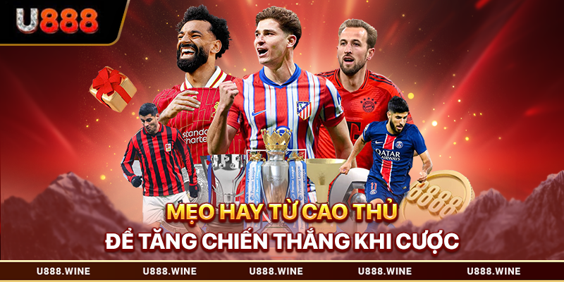 Mẹo hay từ cao thủ để tăng chiến thắng khi cược